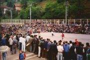 ‘World’s Biggest Detention Camp’: Srebrenica Before the Genocide