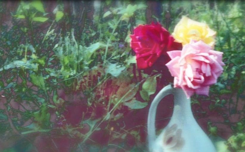 BIRN Launches ‘If You Were Here’ Missing Persons Campaign