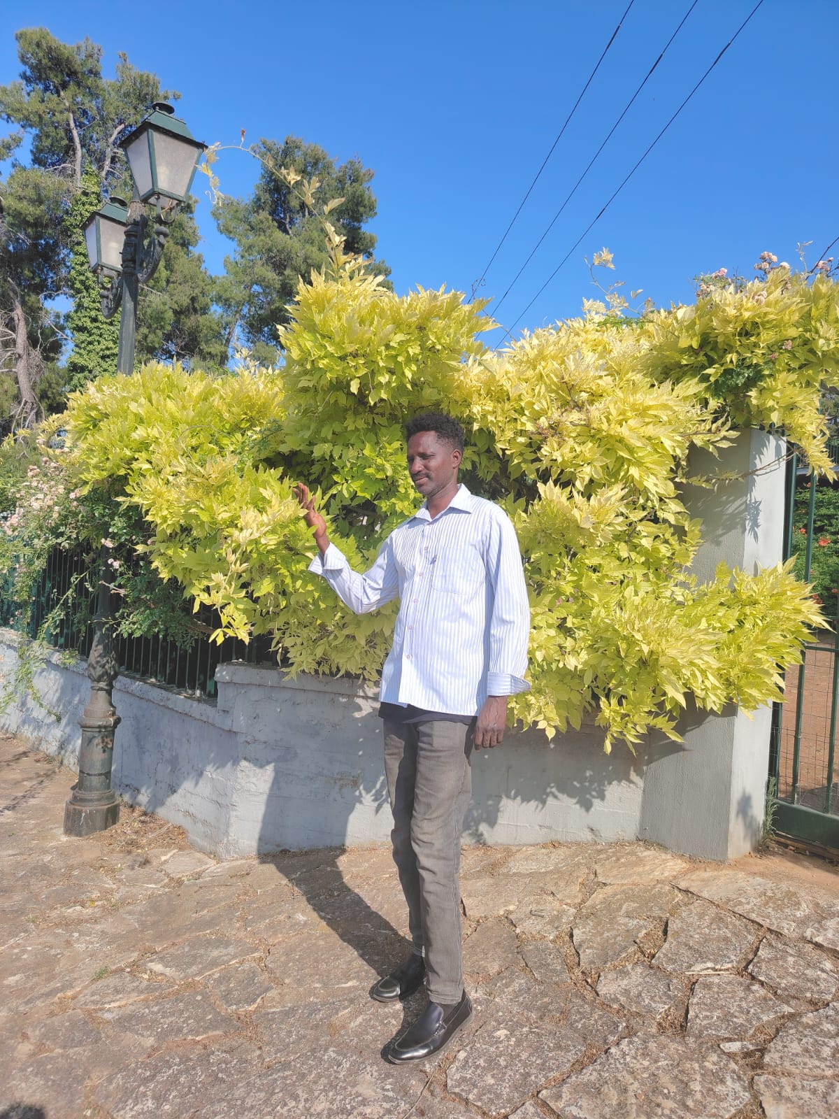 Fadil Muhammad