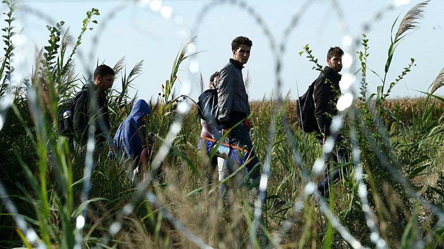 Migrants_in_Hungary_2015_Aug_015-e1591368804638.jpg