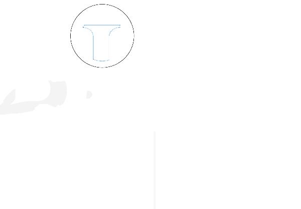 BIRN logo
