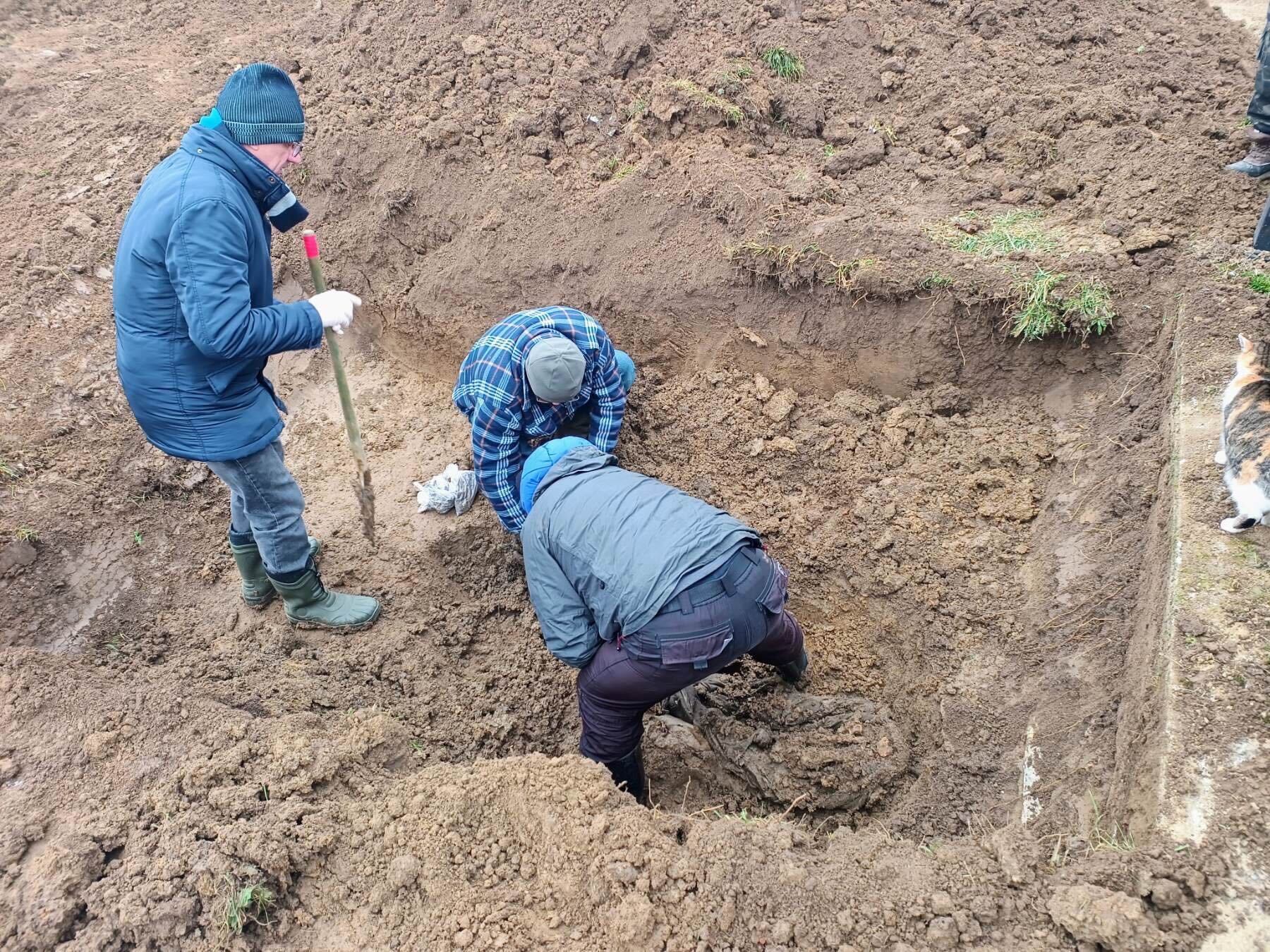 Mjesno groblje Kozarac. Foto: Institut za nestale Bosne i Hercegovine